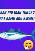 Arti Dari Pantun Ikan Sepat Ikan Tongkol